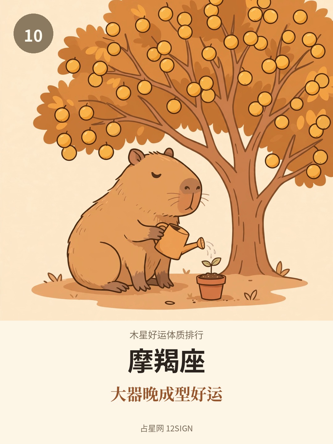 木星好运体质排行 10/12
