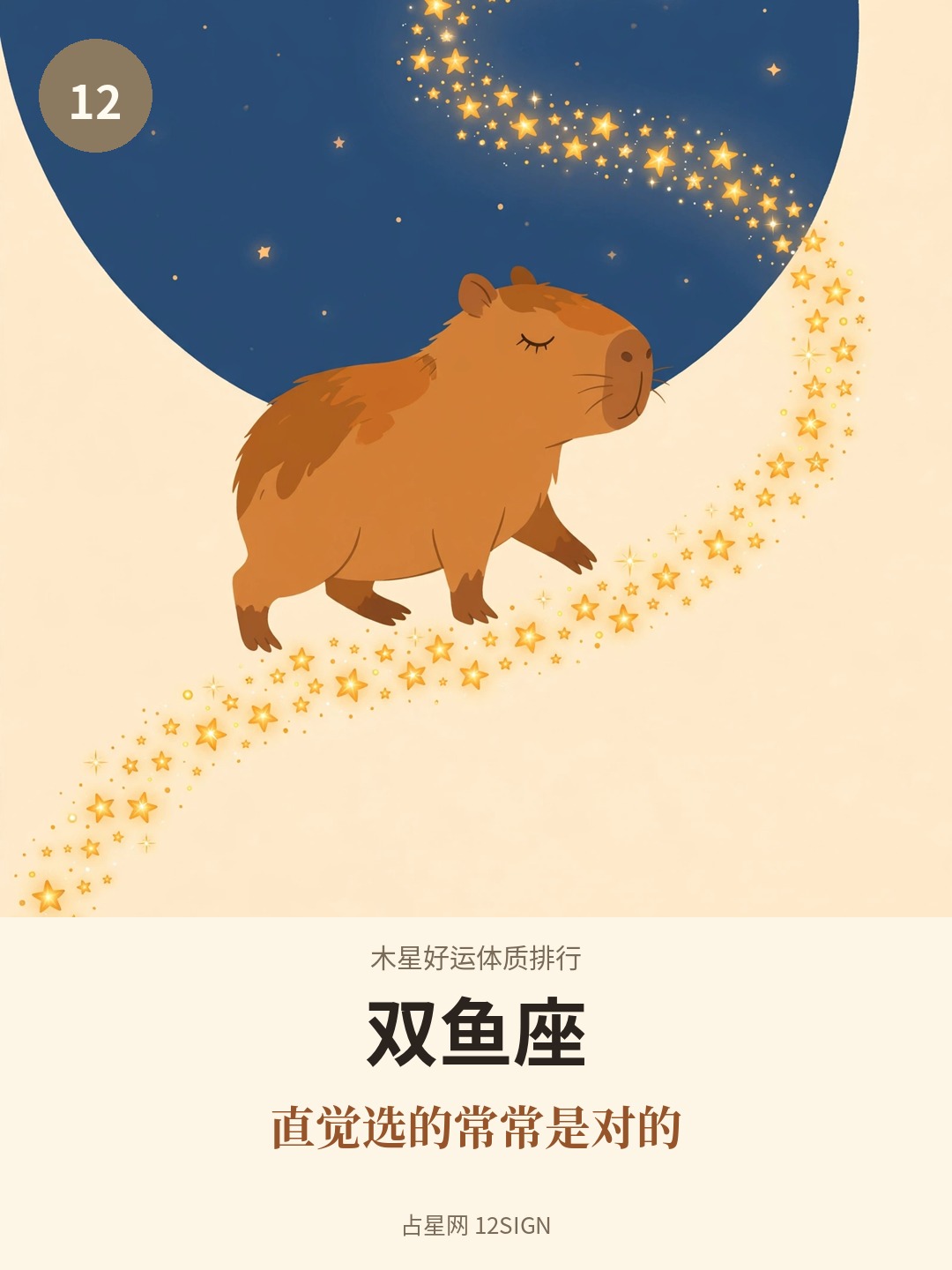 木星好运体质排行 12/12